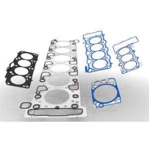 Gasket Overhaul set